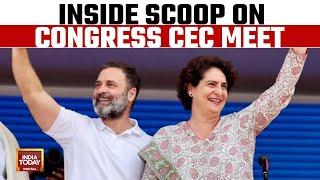 Congress CEC Members Urge To Field Rahul From Amethi Request Made To Field Priyanka From Raebareli