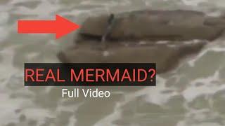 The Best MERMAID sighting video ever captured.