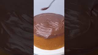  Amazing Melted Chocolate Cake #shorts #chocolate #cake #viral