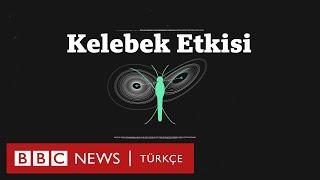 Kaos Teorisi ve Kelebek Etkisi nedir?