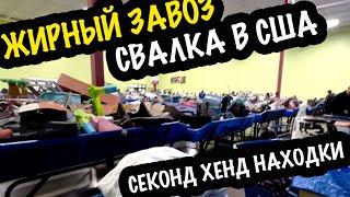 Жирный Завоз из Секондхенда МОИ  Глаза РАЗБЕГАЮТСЯ ОБЗОР НАХОДОК #свалка #барахолка #секондхенд