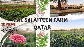 Al Sulaiteen Farm  Places To Visit In Doha Qatar #3