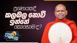 04. ප්‍රශ්නයකදී කලබල නොවී ඉන්නේ කොහොම ද? ‍ උපාය කුසල  Venerable Welimada Saddaseela Thero