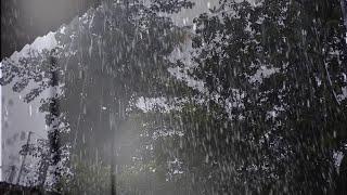 HEAVY RAIN SOUNDS FOR SLEEPING  ASMR Rain For Deep Sleep  Sleep Study Relax