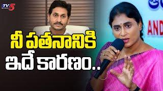 మూర్కు**  YS Sharmila Shocking Comments On AP Ex CM YS Jagan Mohan Reddy  TV5 News