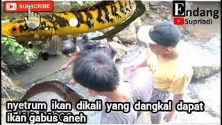 nyetrum ikan di kali yang dangkal dapat ikan aneh  endang.supriadie90@gmail.com