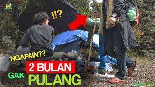 MAMANG INI DATANG SAAT KITA MASAK STEAK DI LEMBAH MANDALAWANGI - GUNUNG PANGRANGO