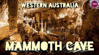 MAMMOTH CAVE IN WESTERN AUSTRALIA  MAMMOTH CAVE IN 2020  ESHAL AND HAREEM