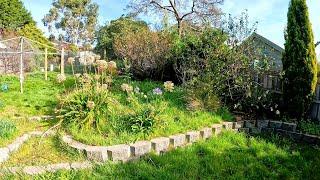 Crazy Garden Restoration  This Homeowner Really Needed Some Help