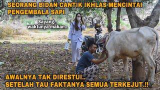 SEORANG BIDAN CANTIK IKHLAS MENCINTAI PENGEMBALA SAPI setelah Tau faktanya semua terkejut..