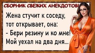 Как муж уехал а жена давай с соседом Сборник свежих анекдотов Юмор