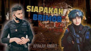 SIAPAKAH BRIMOB? APAKAH ANDA