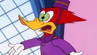 Woody Woodpecker  Woody Gets a New Job + More Full Episodes