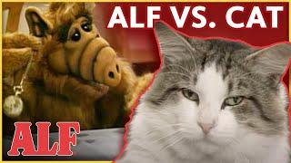 ALFs Best Cat Meow-ments 