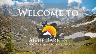 Welcome to Abbie Barnes  Song Thrush Productions 2016