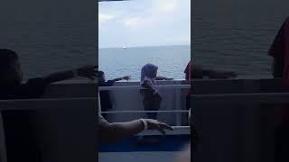 18 jam di Laut bersama KM Dharma Katika 9