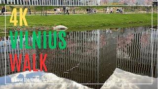 【4K】 Vilnius Walk - Japanese Garden in Vilnius  Vilniaus Japoniškas sodas