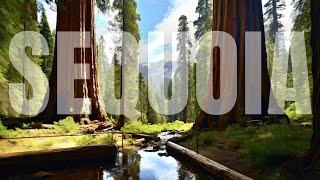 Sequoia National Park ATTRACTIONS  Travel Guide