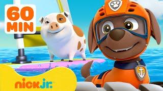 PAW Patrol Zuma’s Sea Rescues & Adventures w Ryder  60 Minute Compilation  Nick Jr.