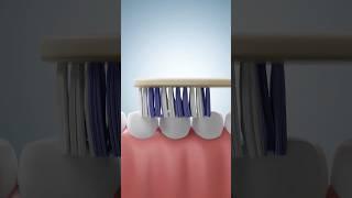 Blender Toothbrush 3D Animation - hair particle