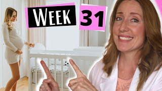 Pregnancy 31 weeks in months  Week by Week and What to Expect in Your Third Trimester