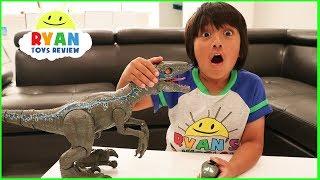 Pet Dinosaur Jurassic World Alpha Training Blue visits Ryan