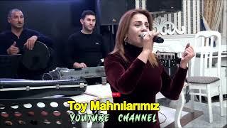 toy açılışı möhteşem bir ifa oxuyan Sevinc xanım  tar Behruz  segah mugami