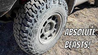 Impressed - Mickey Thompson Baja Boss AT Pizza Cutter 35” Review