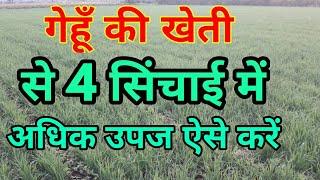 गेहूँ gehu में  पहली सिंचाई दूसरी सिंचाई । गेहूँ की तीसरी सिंचाई । गेहूँ की चौथी सिंचाई । गेहूँ में