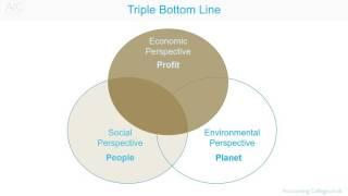 Triple Bottom Line Accounting