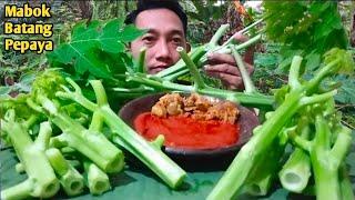 NGERUJAK BATANG PEPAYA SAMPAI MABOK SAMBAL TERASI SUPER PEDAS DAN NIKMAT