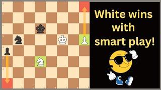 Very Instructive In a clever way about chess endgame puzzle