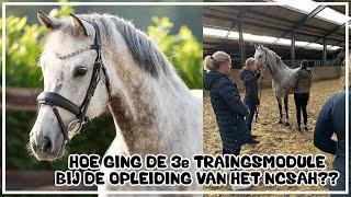 HOE GING DE 3e TRAININGSMODULE MET LONNIE? #joanneneidhoferhorses #VLOG346