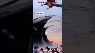 Elang raksasa menembus ombak besar #amazing #viral #funny #ombak #shorts