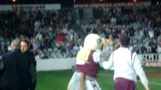 NRL Manly Sea Eagles Mascot fight with drunk Knights fan