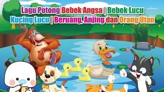 Lagu Anak-anak Potong Bebek Angsa  Versi Baru - Kakatoo Cover Lagu Anak Indonesia