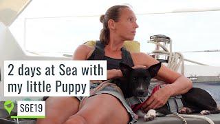 Sailing solo with my puppy from Costa Rica to Honduras. Could this be utterly uneventful?