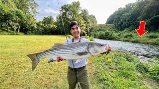 MONSTER FISH Live in this TINY CREEK This WASNT even my BIGGEST CATCH