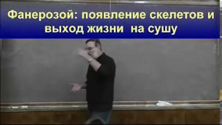 Еськов Эволюция Лекция3 Фанерозой появление скелетов и выход жизни на сушу