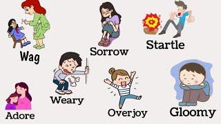 Vocabulary  Daily use english words  Vocabulary with pictures  Vocabulary in English