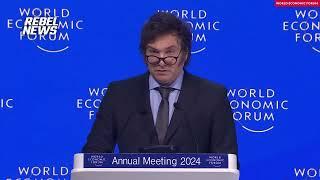 This speech should break the internet Javier Mileis remarks to the World Economic Forum 2024