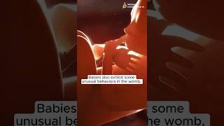 What BABY does in WOMB Weird + Wonderful