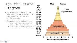 Unit 3 Topic 6   Age Structure Diagrams