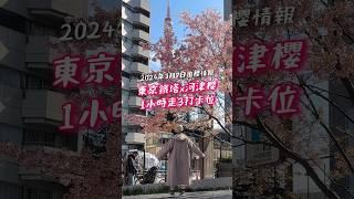 東京櫻花情報攝於2024年3月7日！還有很美的河津櫻️這幾天抓住機會吧️ -—— #東京 #櫻花 #東京賞櫻 #河津櫻 #麻布台 #東京鐵塔 #日本自由行 #在日港人 #在日香港人