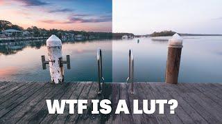 LUTs vs Presets - The Photo Editing Battle Royale