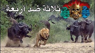 الشجاعة تغلب الكثرة فالرانك MW3