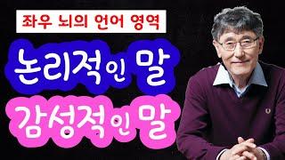 뇌의 언어영역 - 논리적인 말 감성적인 말 231