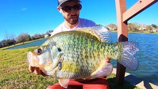 Fishing for GIANT SPRING CRAPPIE