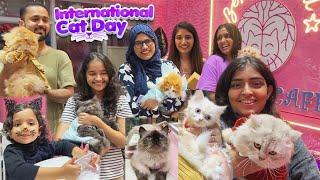 International Cat Day Celebration at Kit Cat Cafe  Purr-fect Day with Our Feline Friends