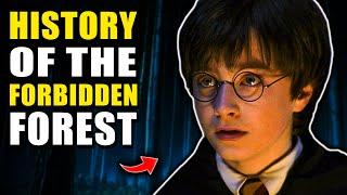 History of the Forbidden Forest - Harry Potter Explained